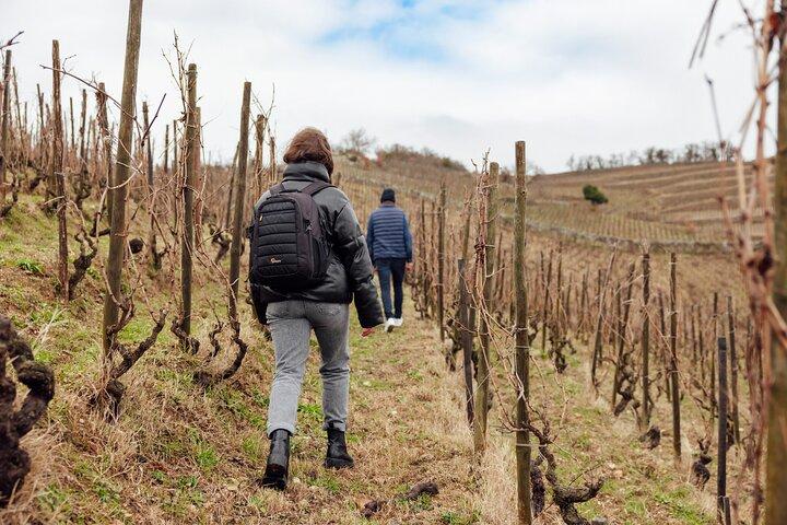 Vin privé et randonnée dans l'Ermitage au départ de Lyon avec dégustation de vin