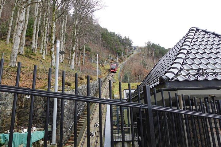 フロイエン山小グループハイキングツアー（鋼索付き）