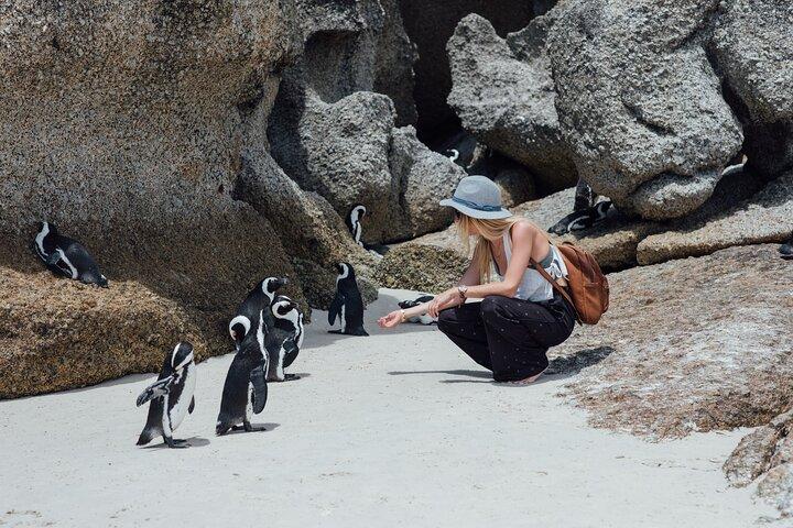 Halvdagstur til Cape Point og Boulders Beach