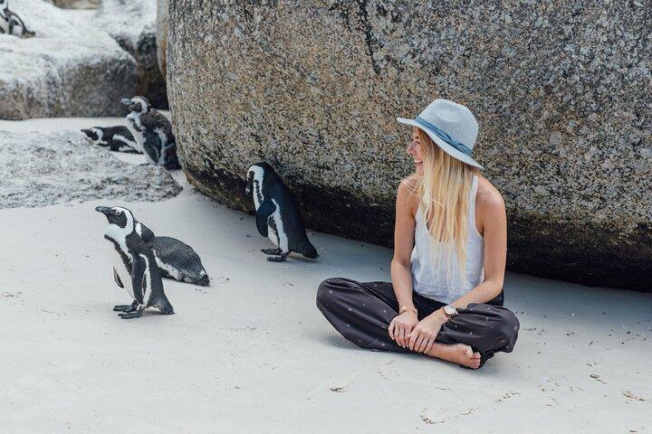 Tour en grupo por el Cabo de Buena Esperanza, Pingüinos y Bo-Kaap desde Ciudad del Cabo