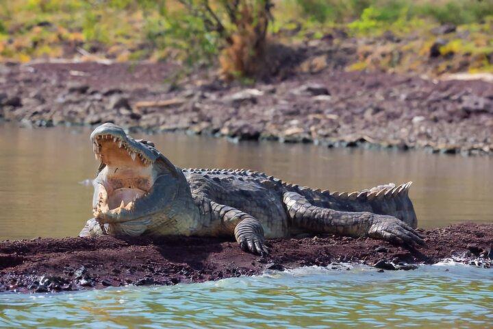 エチオピア国立公園をアウォッシュするサファリアドベンチャー2日間