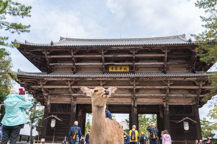 Private Kyoto Tour mit dem Auto mit optionalen Nara oder Osaka Add-Ons