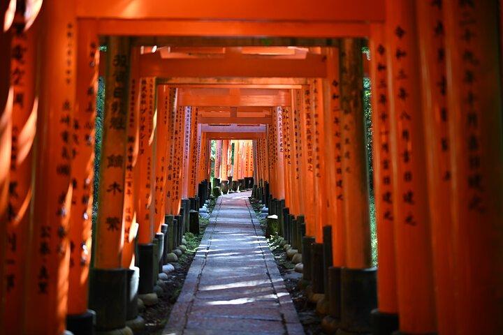 Private Kyoto Tour mit dem Auto mit optionalen Nara oder Osaka Add-Ons