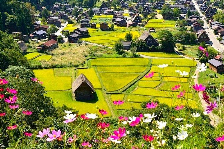 Shirakawa-go + Hida Takayama Day Tour dalla stazione di Nagoya