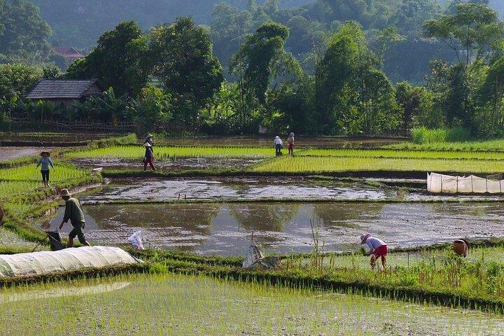 Mai Chau in 1 dag: Fiets door de rustige dorpen van Vietnam