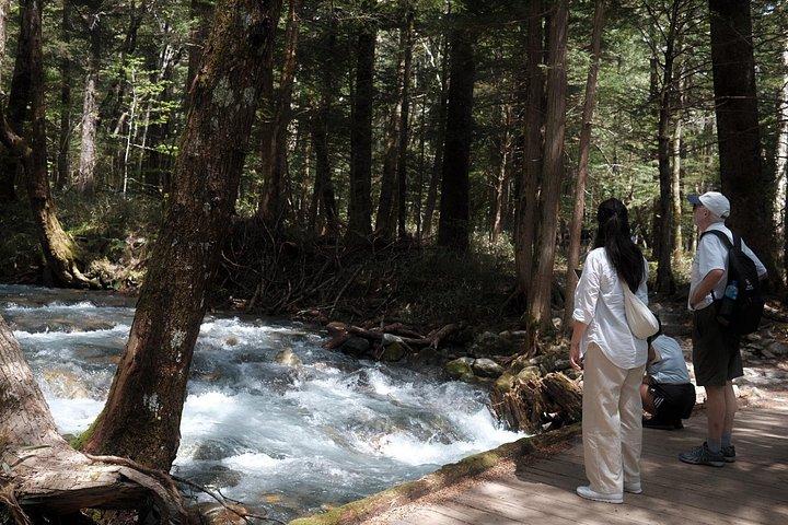 上高地プライベート夏の逃避行：自然のままの自然の中で野生動物と出会う