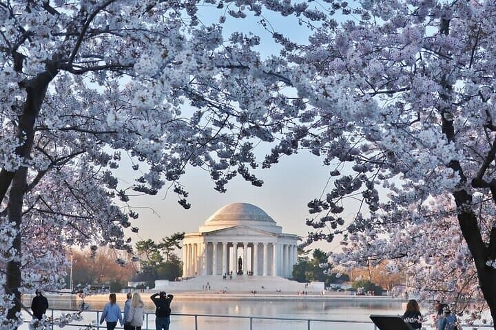 Private Full Day Washington DC Tour from New York City