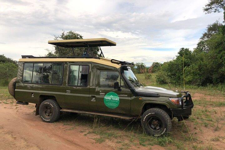 Safari di un giorno nel Parco Akagera con prelievo e pranzo in hotel