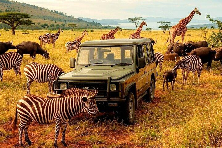 Safari di un giorno nel Parco Akagera con prelievo e pranzo in hotel