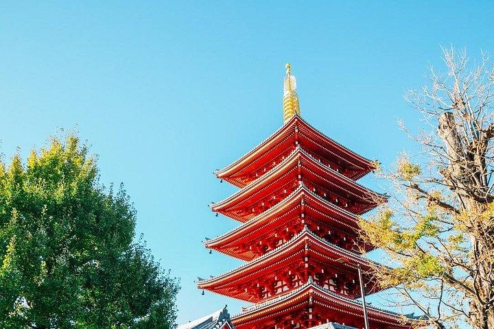 Tokyo : Hand-Roll Sushi Class, Skytree view & Asakusa Tour