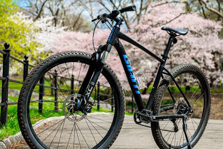 Aluguel de bicicletas em Nova York com duração flexível
