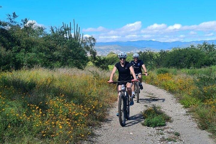 Escursione in bicicletta all'albero di tule attraverso le montagne