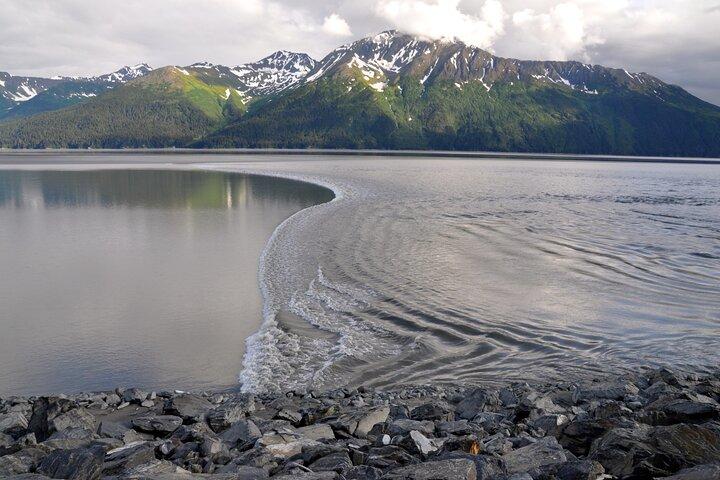 Anchorage à Whittier Visite de transfert direct