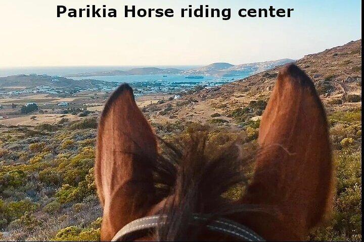 Passeggiate a cavallo a Paros