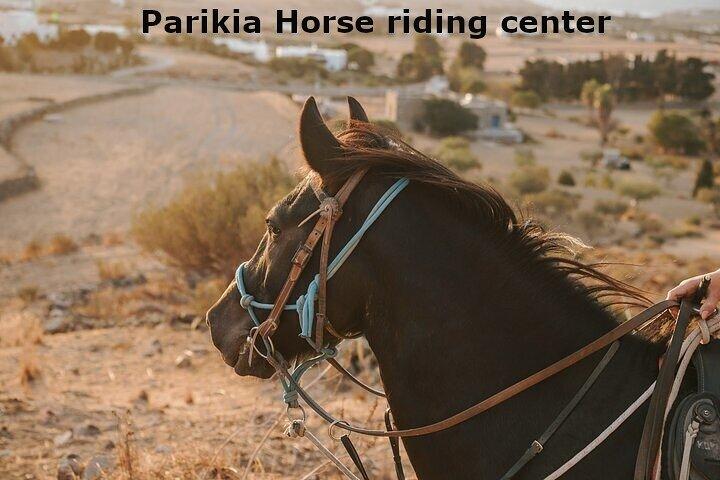 Passeggiate a cavallo a Paros