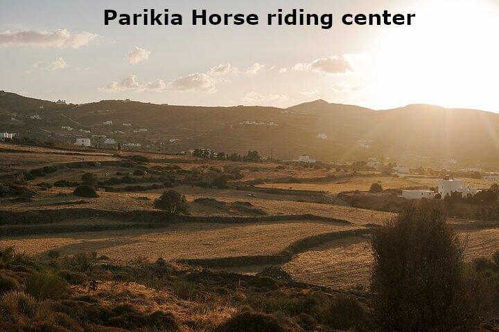 Paros Sunrise Horseback Riding to the Beach No Swimming