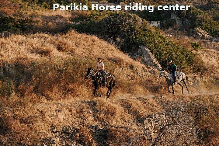Paros Sunrise Horseback Riding to the Beach No Swimming