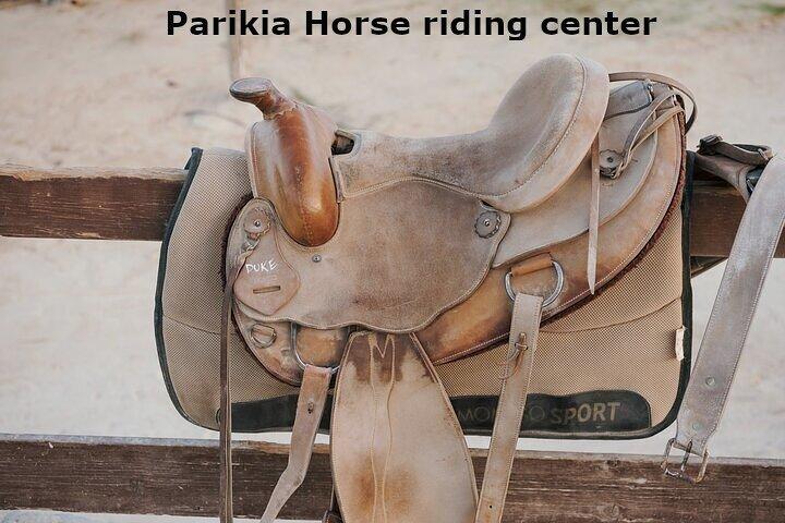 Paros Sunrise Horseback Riding to the Beach No Swimming