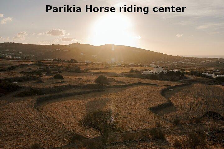 Paros Sunrise Horseback Riding to the Beach No Swimming