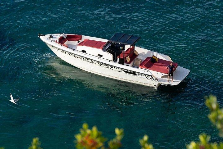 カプリ島、洞窟、ファラリオーニのプライベート ボート ツアー