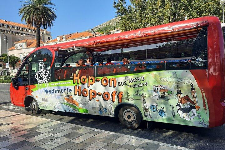 Dubrovnik sightseeingtur med busstransfer