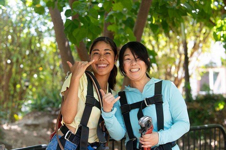 Adventure Course Extreme Including Climbing Wall & Rappel