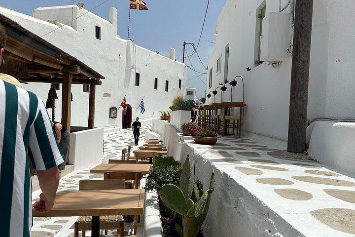 Private Tour- 4 Hours Mykonos Island