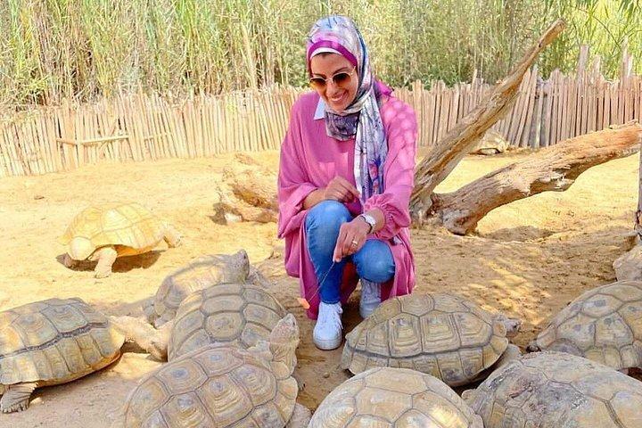 アフリカ公園サファリファミリーフレンドリーネイチャーツアー