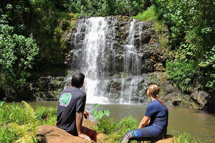 Escursioni e nuotate private alle cascate a Lihue