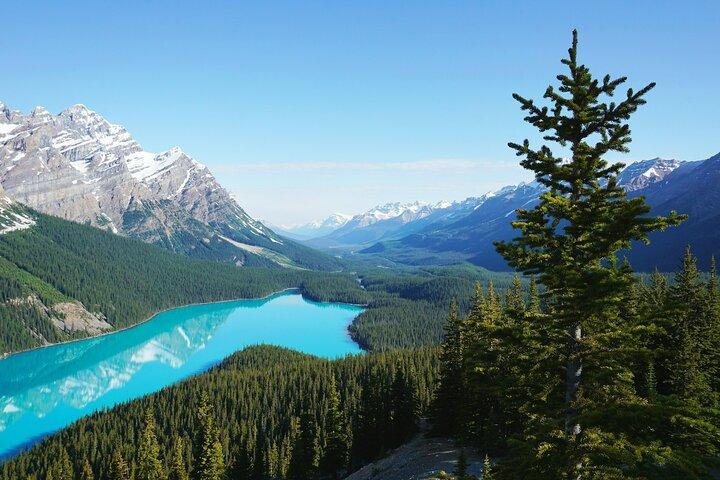 5-stjärniga hotell i Lake Louise, Moraine, Emerald, Peyto och Bow