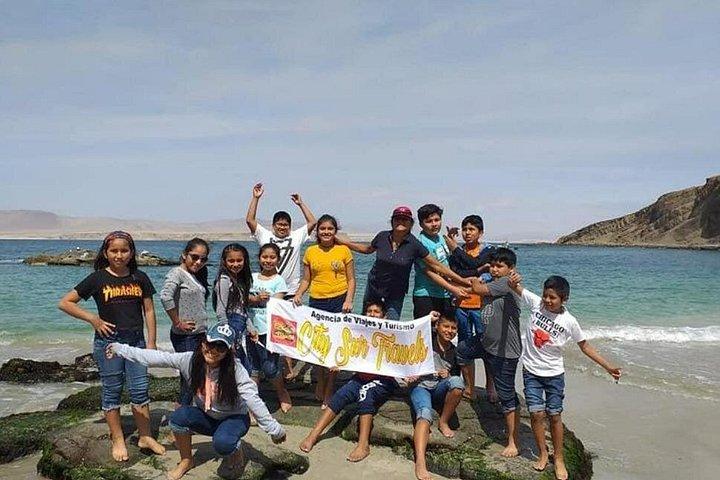 Paracas Full Day Tour