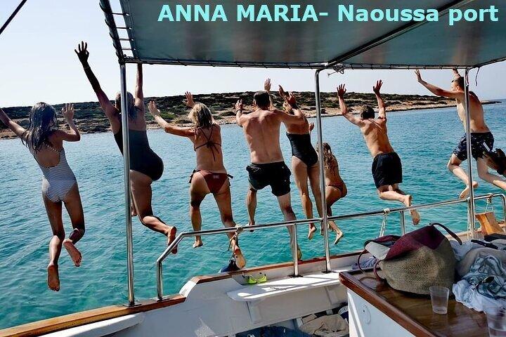 Halbtägige Bootstour von Naoussa Hafen und Bucht.