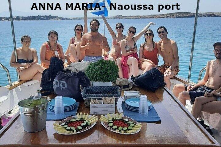 Halbtägige Bootstour von Naoussa Hafen und Bucht.