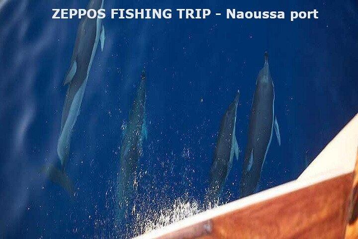 Semipriv FishingTour on Kaiki Paros/Naousa or Private sunset tour