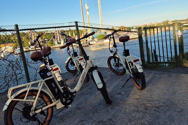 ストックホルムEバイクシティツアー