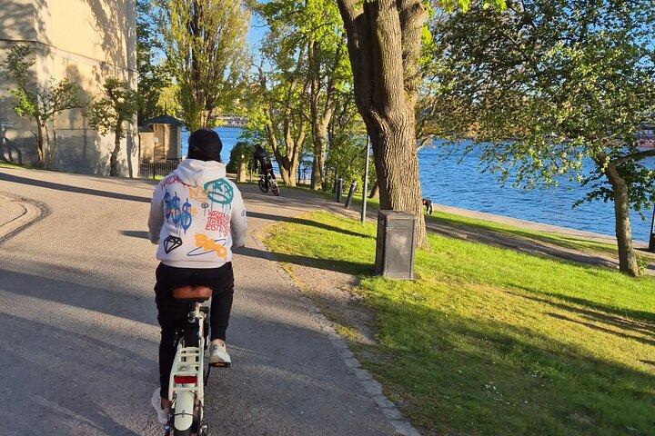 ストックホルムEバイクシティツアー
