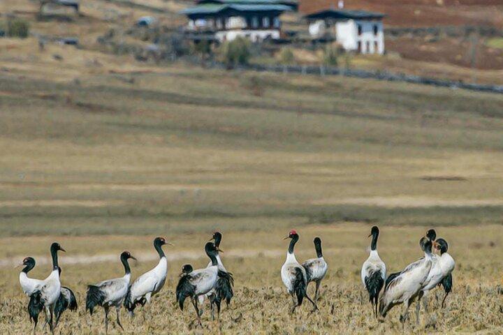 スリランカのユネスコ遺産ワンダー13泊14日