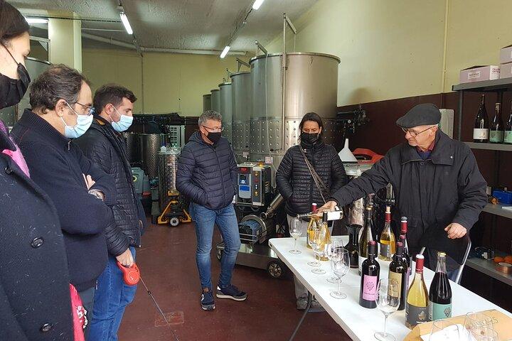 Private Siurana aldeia & degustação de vinhos sótão com hotel Pickup