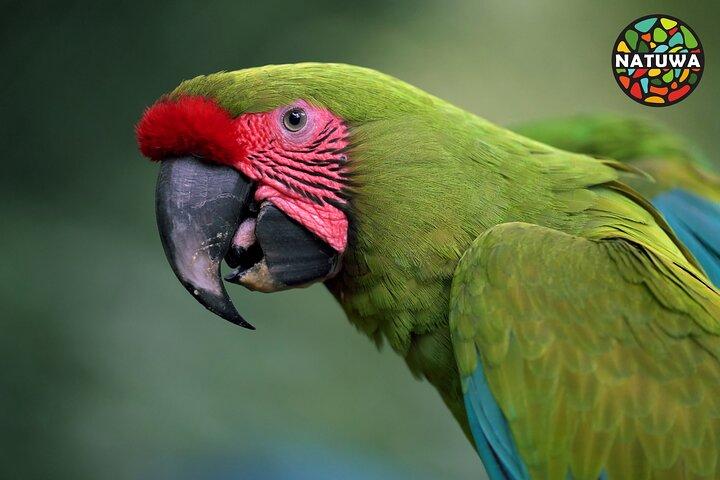 Natuwa Wildlife and Conservation Sanctuary
