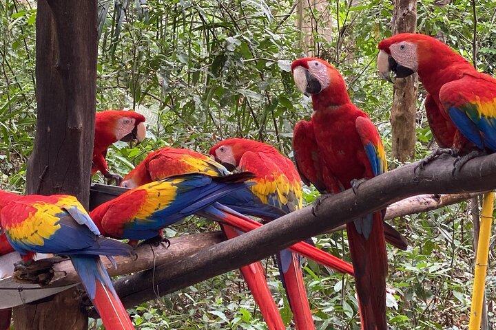 Natuwa Wildlife and Conservation Sanctuary