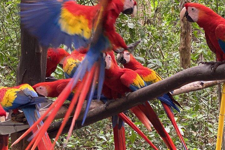 Natuwa Wildlife and Conservation Sanctuary