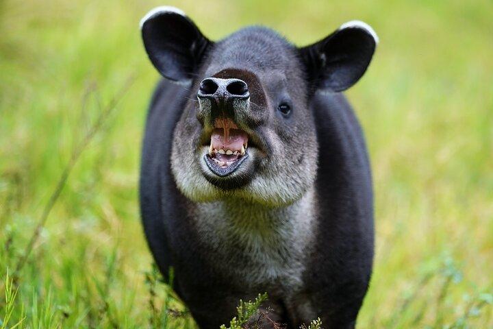Natuwa Wildlife and Conservation Sanctuary