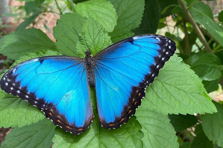 Natuwa Wildlife and Conservation Sanctuary