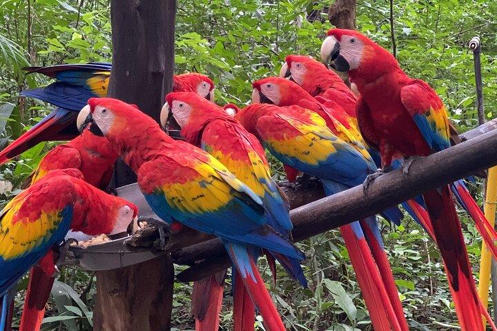 Natuwa Wildlife and Conservation Sanctuary