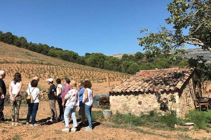 Private Siurana aldeia & degustação de vinhos sótão com hotel Pickup
