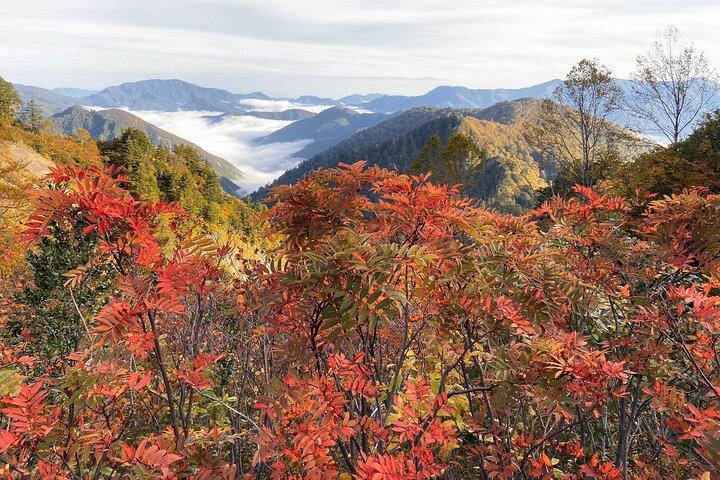 Hoteller i nærheden af Hakusan Shirakawa-go White Road & Shirakawa-go from Kanazawa