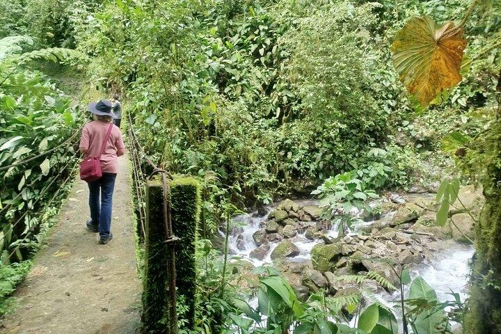 Mindo Cloudforest Tour privato di un'intera giornata da Quito