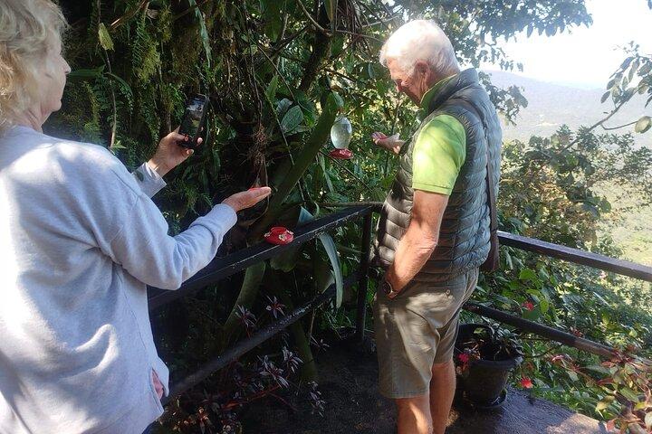 Mindo Cloudforest Tour privato di un'intera giornata da Quito