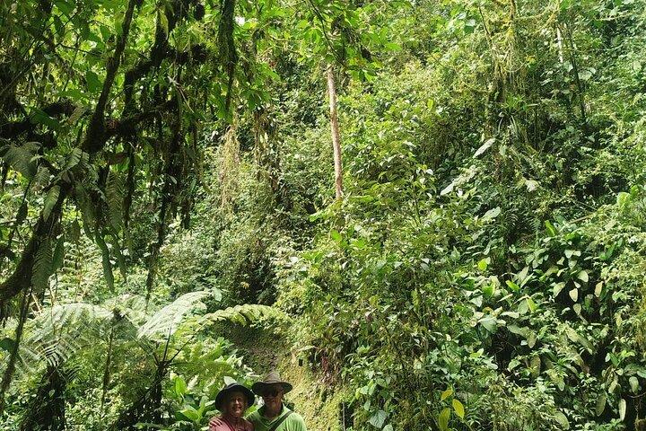 Mindo Cloudforest Tour privato di un'intera giornata da Quito