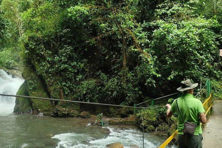 Mindo Cloudforest Tour privato di un'intera giornata da Quito